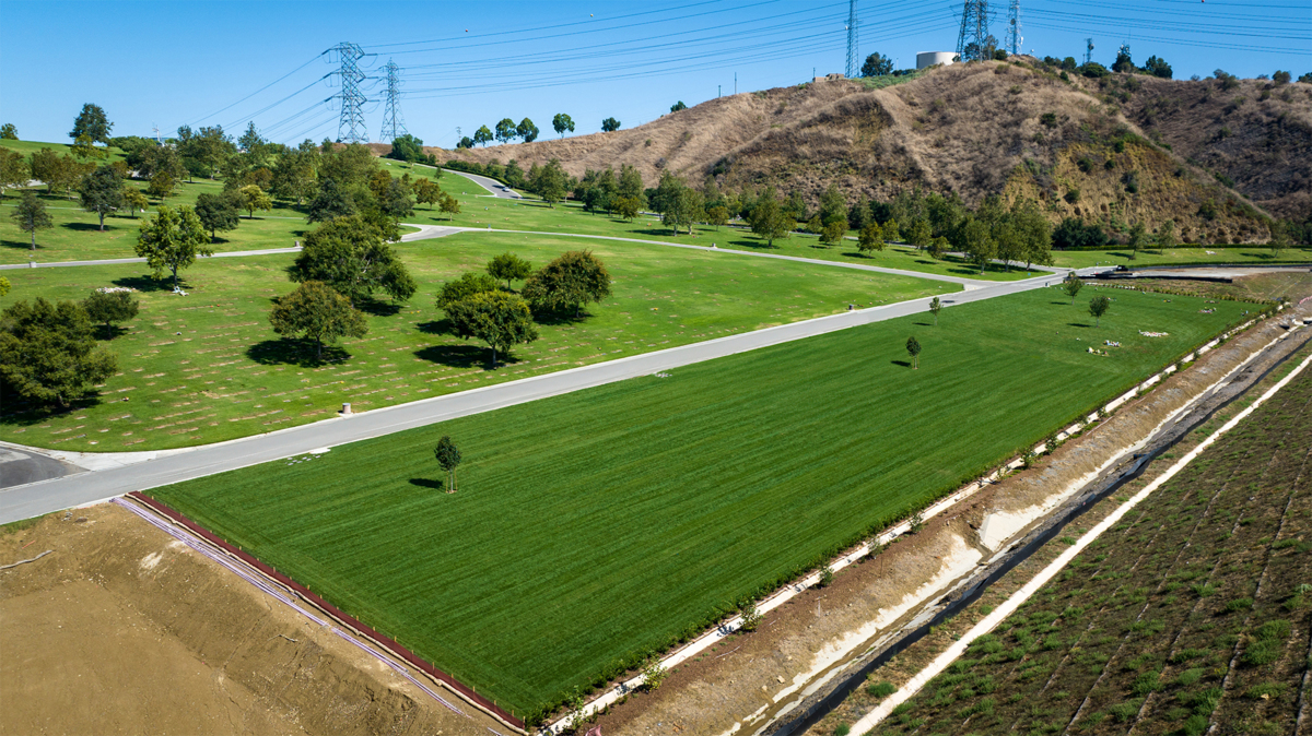 Meadowbrook Featured Property Rendering