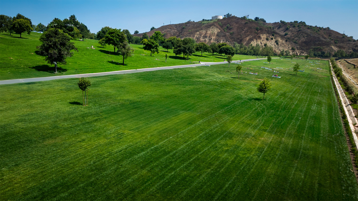 Meadowbrook Featured Property Rendering