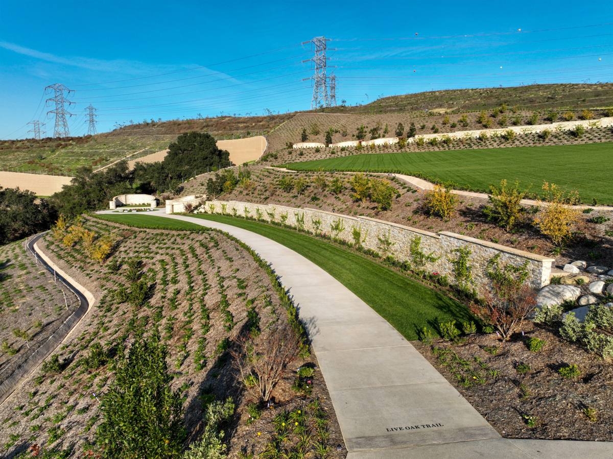 Live Oak - Rose Hills Featured Property