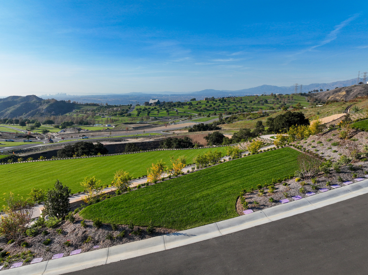 Live Oak - Rose Hills Featured Property