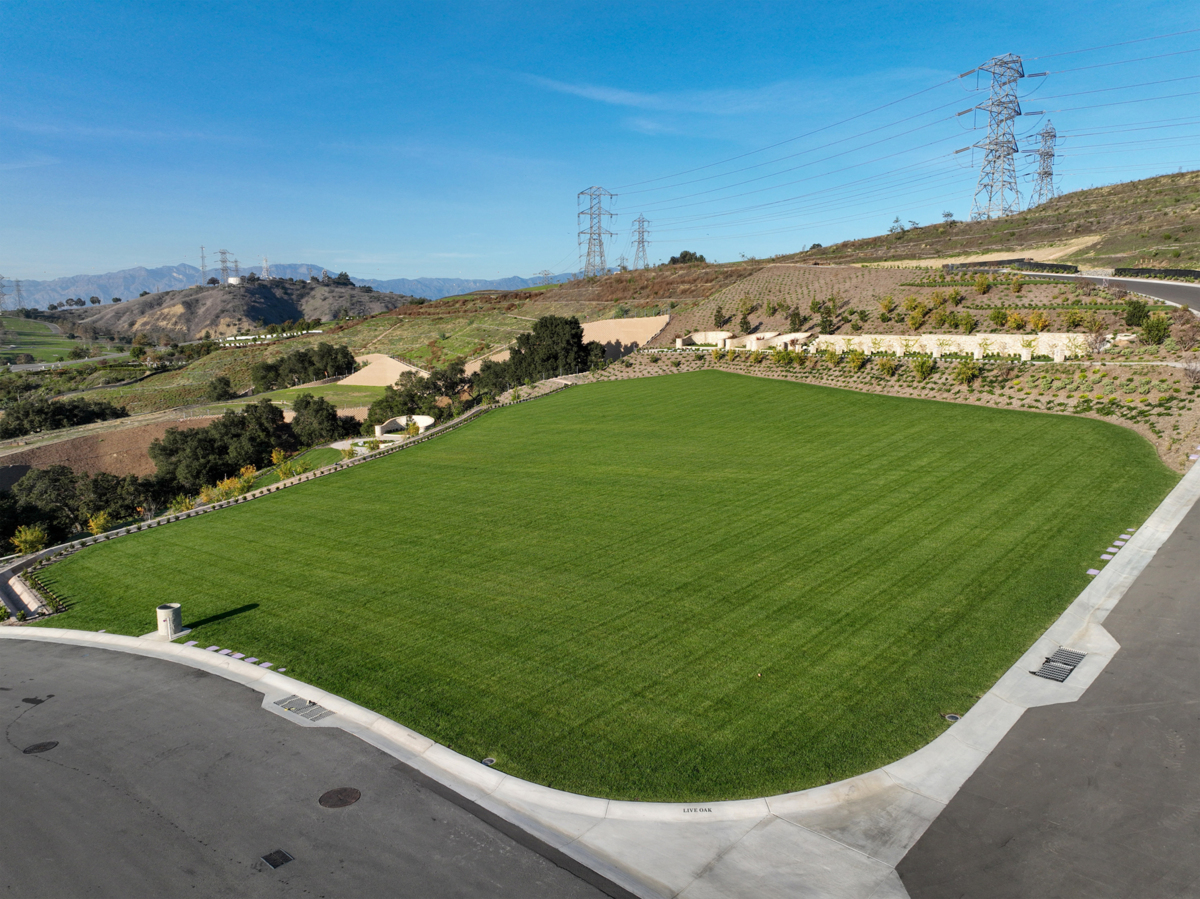 Live Oak - Rose Hills Featured Property