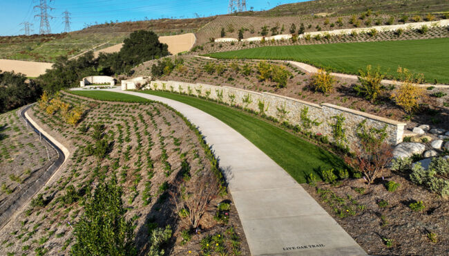 Live Oak - Rose Hills Featured Property